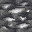 Texture de Titane